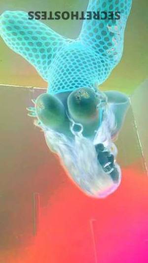 26 year old Escort in Modesto CA Rose Your Dream come true