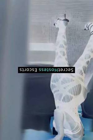 28 year old Escort in Wilmington DE True Monroe