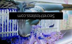 20Yrs Old Escort Bundaberg Image - 23