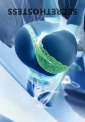 24 year old Escort in Balcatta Perth trillions of dollars