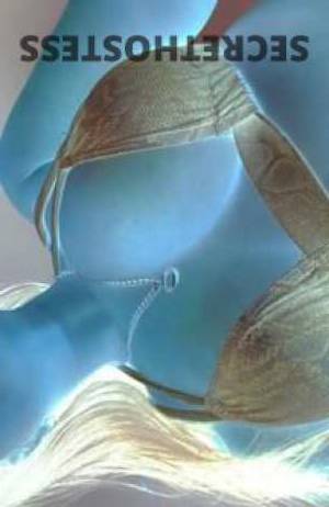 28 year old Australian Escort in Alberton Brisbane Unleash Your Wildest Fantasies with Sexy Petite Australian 