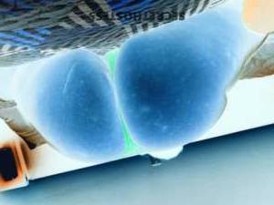 28Yrs Old Escort Baton Rouge LA Image - 3