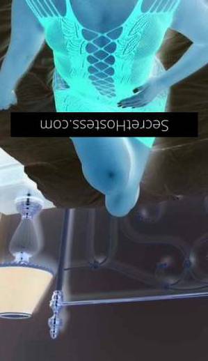 41Yrs Old Escort Size 10 Launceston Image - 15