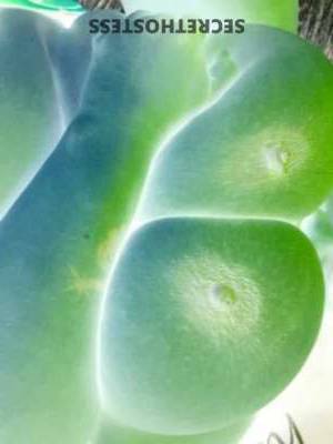 33 year old Escort in South Bend IN Sweet Candy Sassy 33 Yr Old Escort seeks Sugar Daddy for Fun