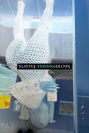 35 year old American Escort in Houston TX Unforgettable