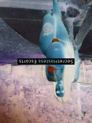 Selena 22Yrs Old Escort 74KG 160CM Tall Los Angeles CA Image - 3