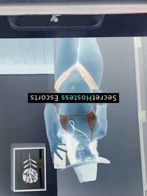 22 year old Escort in Tampa FL Unleash Your Dreams Escape the Norm and Embark on a Fantasy 