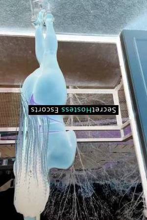 26 year old Escort in Charlotte NC Enticing Sensuality Awaits Unleash Your Mind and Body for a 