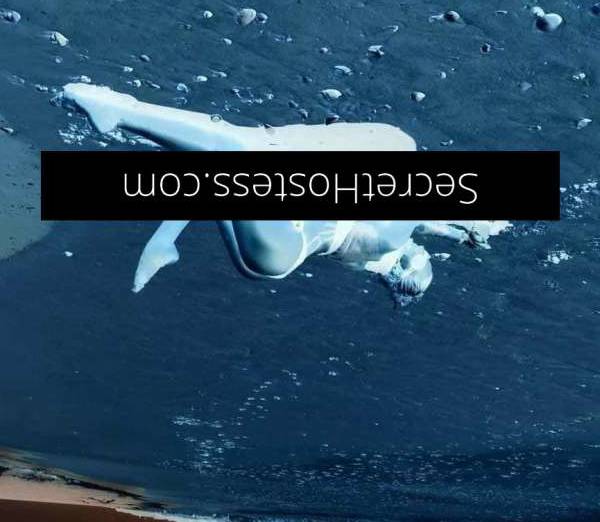 29Yrs Old Escort Size 8 Sunshine Coast Image - 23