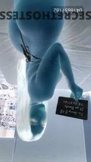 Jenny 23Yrs Old Escort Size 6 48KG Brisbane Image - 5