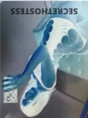 23 year old Asian Escort in Brisbane Sensual Asian Babe BJ, Erotic Relaxation and More!Textxxxx-