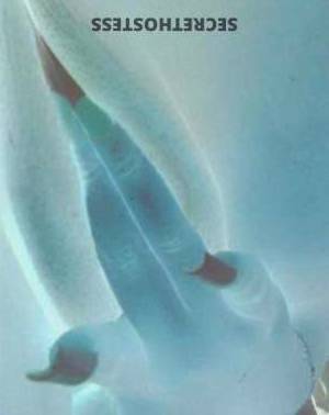 23Yrs Old Escort Oakland CA Image - 2