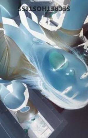 24Yrs Old Escort Daytona FL Image - 1