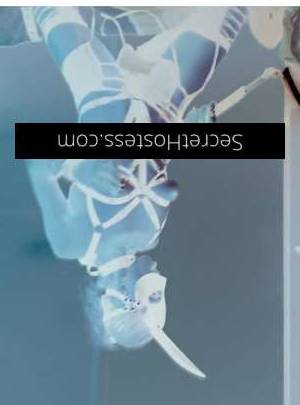 29Yrs Old Escort Size 8 Sunshine Coast Image - 13