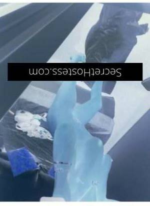 29Yrs Old Escort Size 8 Sunshine Coast Image - 14