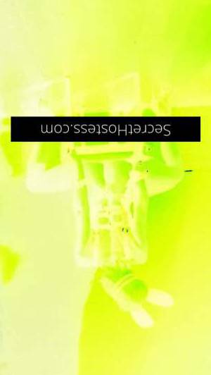 29Yrs Old Escort Size 8 Sunshine Coast Image - 15