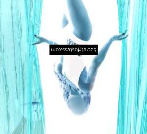 0 year old Escort in Elite Companion for Discerning Gentlemen