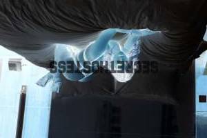 0 year old Hispanic Escort in Chicago IL Stunning Escort