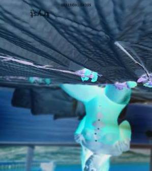 18Yrs Old Escort Southfield MI Image - 6