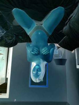 23Yrs Old Escort 168CM Tall Doha Image - 5