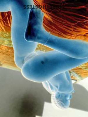 23Yrs Old Escort Bronx NY Image - 1