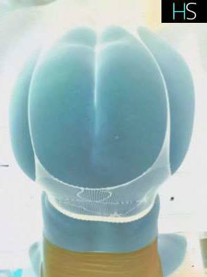 29 year old Caucasian Escort in Kelowna Greek submisive RIMMING d@ddygirl