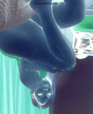 0 year old Caucasian Escort in Albuquerque NM Experience Blissful Pleasure with Maria