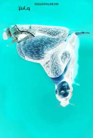 20Yrs Old Escort Wenatchee WA Image - 2