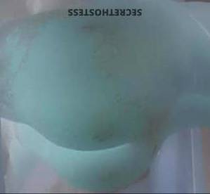 26 year old German Escort in Frederick MD Wet Bunny Pussy