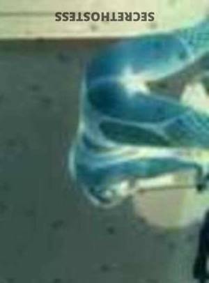 33 year old Escort in Memphis TN Mature Escort 33, flexible, just for you