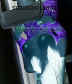 Eva 23Yrs Old Escort Maitland Image - 1