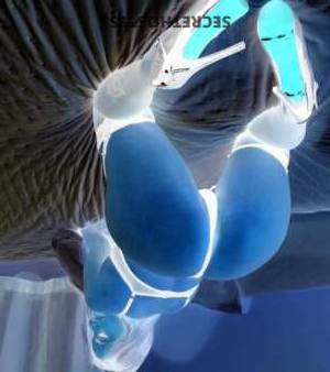 Sasha 25Yrs Old Escort San Fernando Valley CA Image - 1