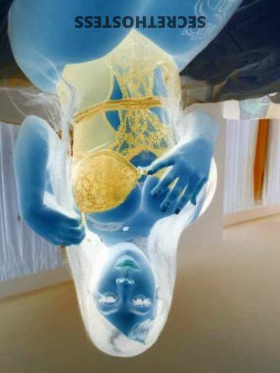 23Yrs Old Escort Greenville SC Image - 1