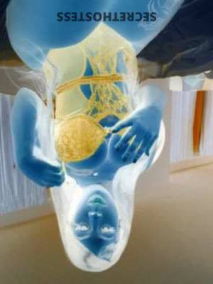 23Yrs Old Escort Greenville SC Image - 1