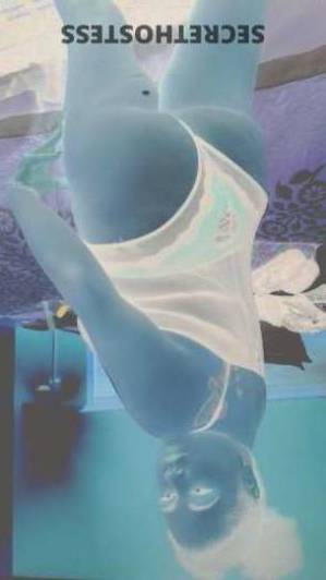 25Yrs Old Escort Pensacola FL Image - 1