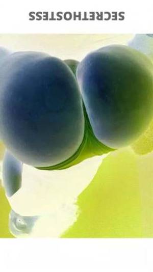 36 year old Puerto Rican Escort in Austin TX Thick Busty Boriqua