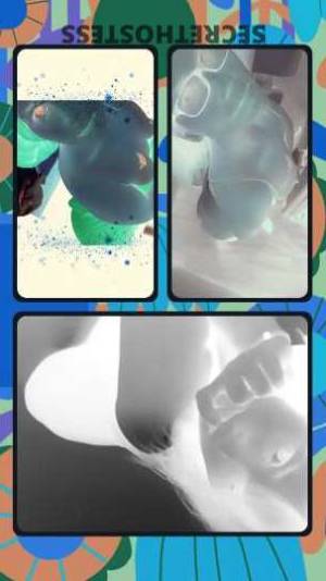 37 year old German Escort in Greenville SC Olivia Juicy Mouth and Cute Cat