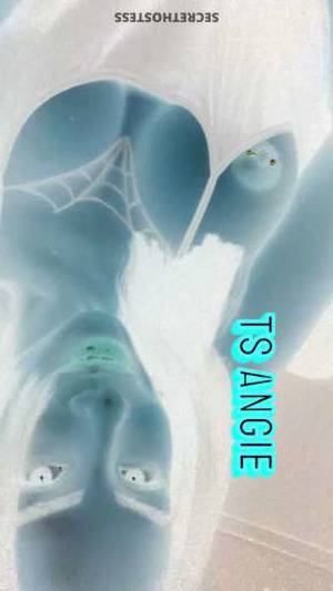 Angie 27Yrs Old Escort Long Island NY Image - 2