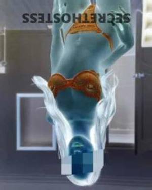 Daisy 26Yrs Old Escort Bundaberg Image - 2