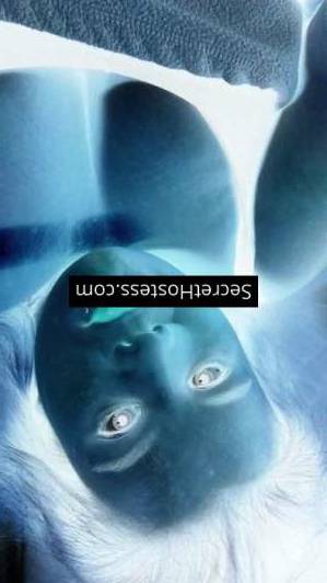 28 year old Caucasian Escort in Ottawa Holly, Independent