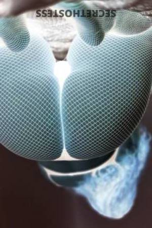 26 year old Escort in Chico CA Snapchat fun