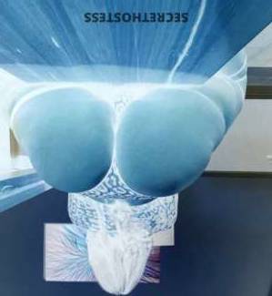 25Yrs Old Escort Brooklyn NY Image - 1