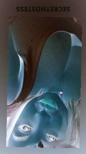 26Yrs Old Escort Charlotte NC Image - 2