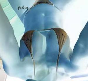 30 year old White Escort in Fayetteville AR Muse to Desire - Lexi