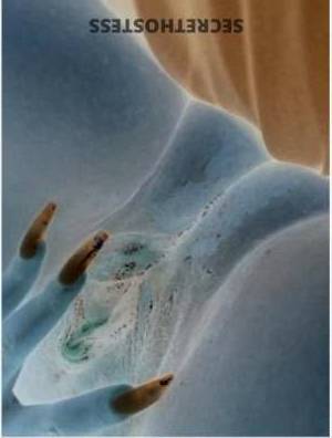 Star 29Yrs Old Escort Rochester MN Image - 1