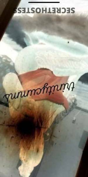 38 year old Escort in Oklahoma City OK Ripe and Ready