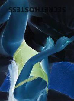 23Yrs Old Escort Size 8 53KG 162CM Tall Newcastle Image - 2