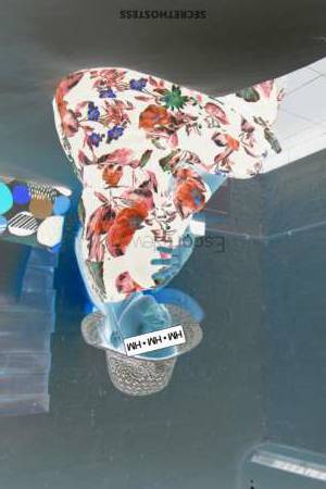 20Yrs Old Escort 50KG 170CM Tall Havana Image - 3