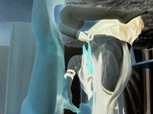 22 year old Asian Escort in San Jose CA New Latin/Asian Escorts No Youngsters, No Bareback