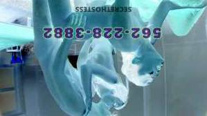 22 year old Escort in Long Beach CA Unmatchable Escort Servicexxxx-xxx-xxx